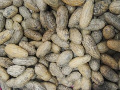 臺州千眼菩提子一手貨源、地?cái)偖a(chǎn)品、熱銷產(chǎn)品包郵