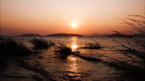 玉環(huán)漩門灣觀光農(nóng)業(yè)園圖片