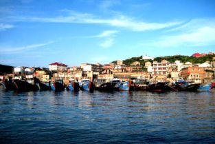 臺州大陳 “漁小二”便民服務不停步，助力海島生活更便捷